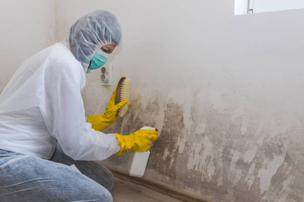 Best Bathroom Mold Remediation in Twin Rivers, NJ